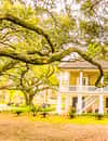 Whitney Plantation