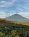 Amed