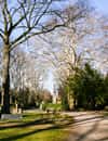 Melatenfriedhof