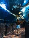 Malta National Aquarium