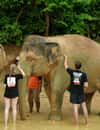 Elephant Jungle Sanctuary Phuket
