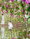 teamLab Planets TOKYO