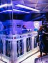Magic Ice Bar