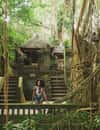 Sacred Monkey Forest Sanctuary
