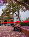 Marktplatz von Casco Antiguo