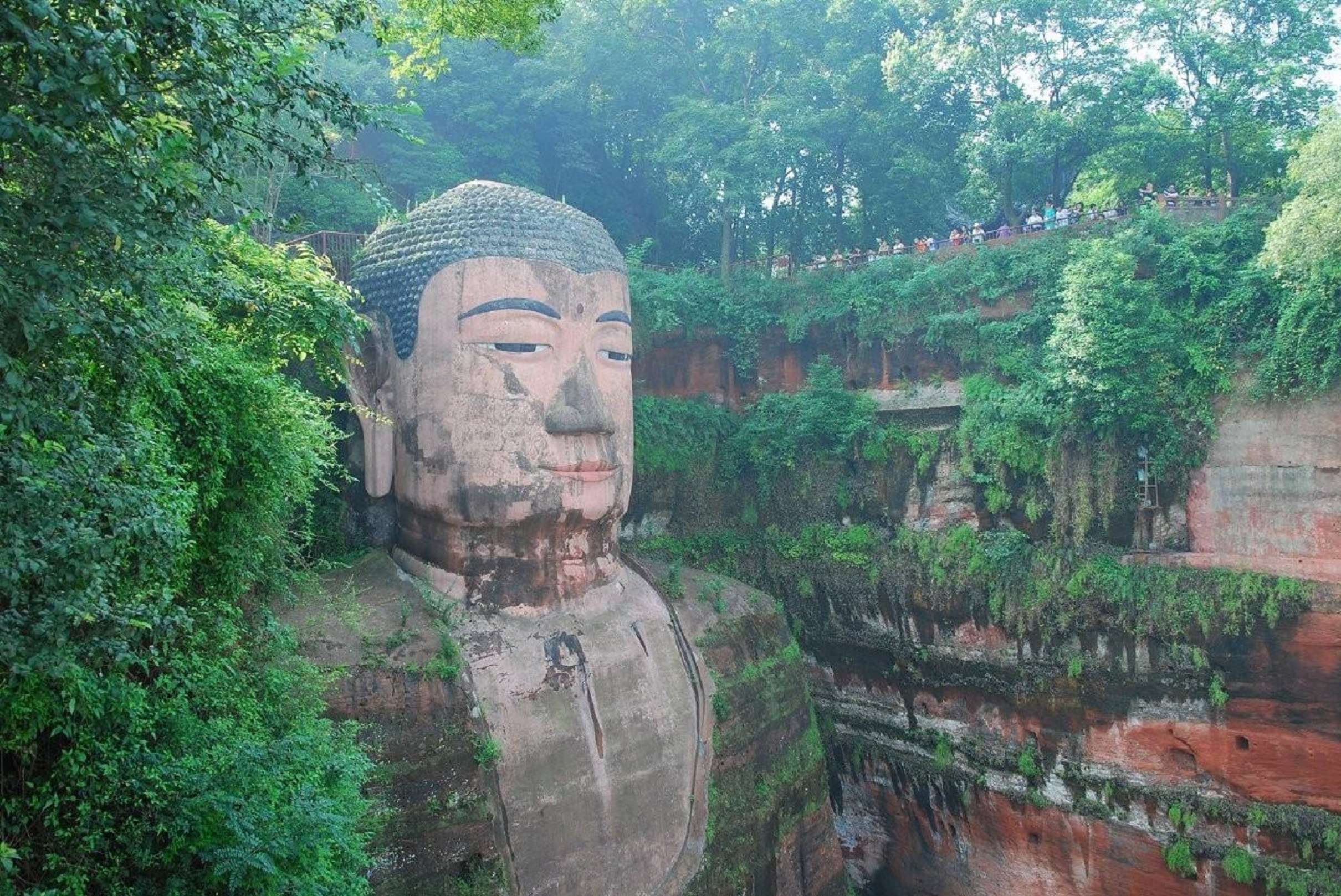Chengdu: Panda Base Half-day Tour or Panda & Buddha Day Tour