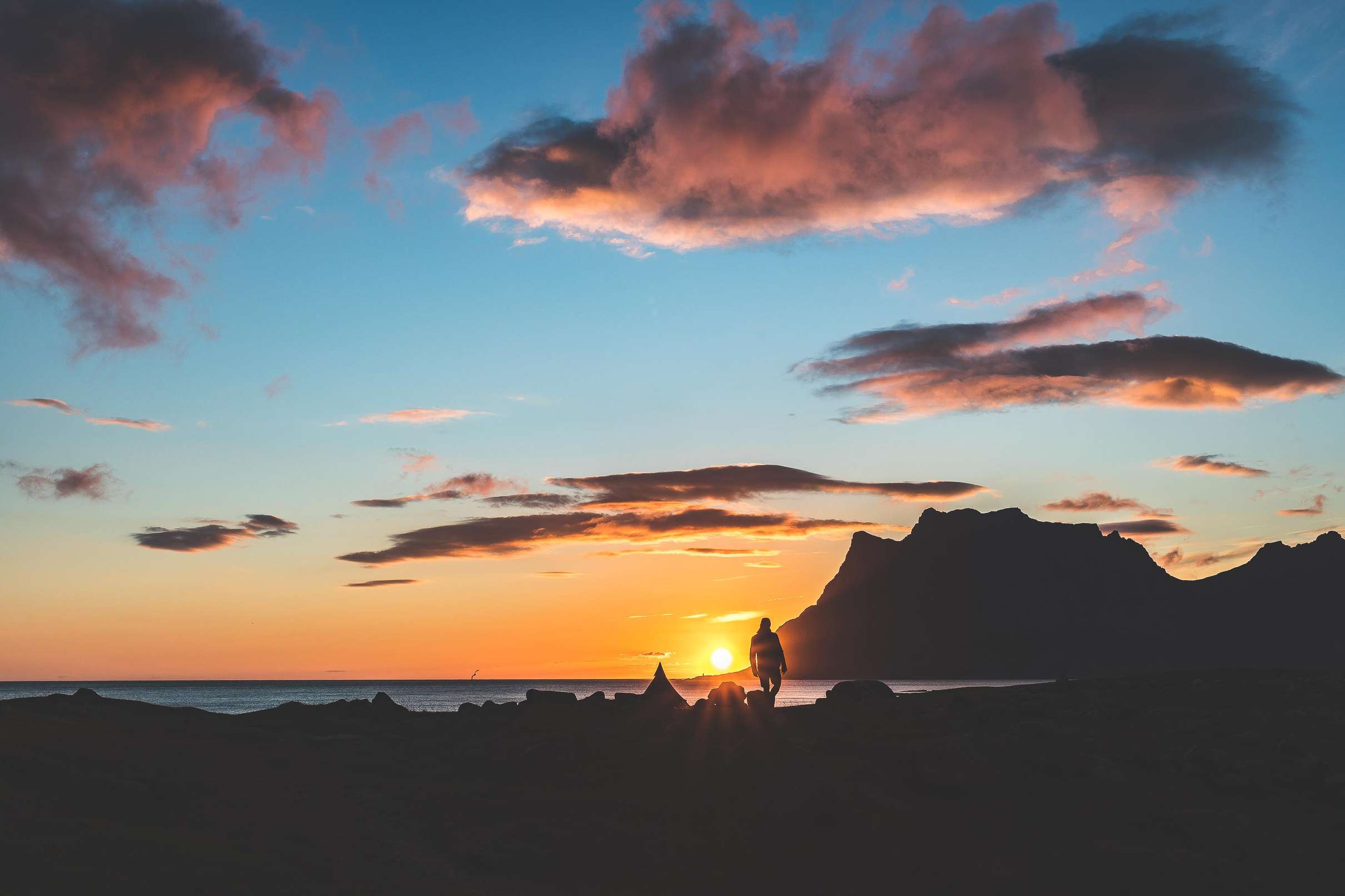 Excursion à l'île de Senja depuis Tromsø avec fjords et faune arctique