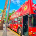 Miami: Hop-on Hop-off tours