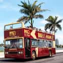 Miami: Hop-on Hop-off tours