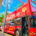 Miami: Hop-on Hop-off tours