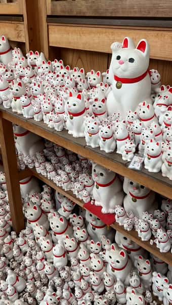 東京：地元ガイドによるプライベートシティハイライトツアー