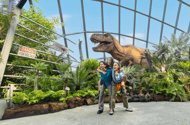 Gardens by the Bay Bundle belépőjegy