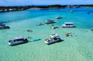 Destin: Public 3 Hour Crab Island and Harbor Tour