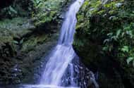 EPIC Madeira Canyoning Niveau Twee