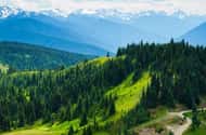 Olympic National Park