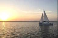 Orange Beach, Alabama: Dolphin & whale watching