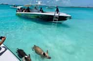 Exuma: Day trips
