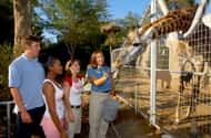 San Diego: Family-friendly activities