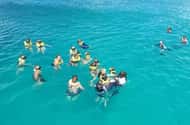 Barbados: Swimming with turtles