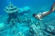Bali: Swimming with turtles