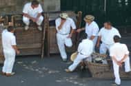 Vanuit Funchal: Nonnenvallei, Monte en sleetocht