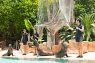 Ticket für den Zoo im Dschungelpark auf Teneriffa