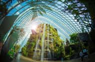 Gardens by the Bay belépőjegy: E-Ticket