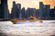 Croisières à Chicago : Croisière en bateau rapide sur le lac Seadog