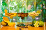 Cozumel: Chocolade Margarita Workshop met Maya Recept