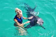 Saint Thomas: Swim with Dolphins at Coral World Ocean Park