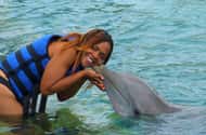 Coral World Ocean Park: Dolphin Moment