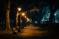 Savannah: Activities for couples