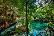 Riviera Maya: EcoPark Kantun-Chi grotavontuur