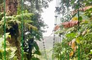 Monteverde: Night tours