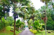 Takamaka Rum Distillery