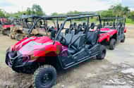 San Juan, Puerto Rico: Jungle tours