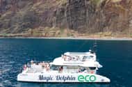 Vanuit Funchal: Ecologische Catamaran Dolfijn Walvissen kijken
