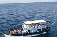 Ischia: båttur med napolitansk lunch och snorkling
