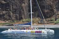 Funchal: Dolfijn en walvistour Catamaran Cruise