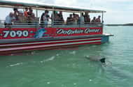 Madeira Beach: Pirate activities