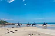 Miami: Horse riding