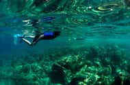 Nice: Snorkeling