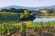 Florence: Sunset tours