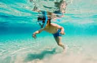 Destin: Snorkeling
