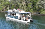 Sunshine Coast: Canoe & kayak tours