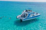 Turks and Caicos Islands: Diving