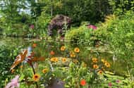 Private Giverny Half-day trip from Paris by Mercedes