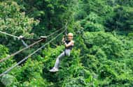 С острова Самуи: зиплайн Tree Bridge и посещение кафе