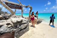 Bahamas: Safaris & wildlife activities