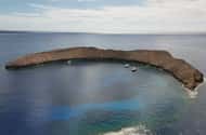 Z Kihei: Dvouhodinové šnorchlování na Molokini